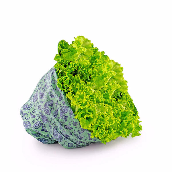 Borsa Vegana Grande per alimenti - SUSSO