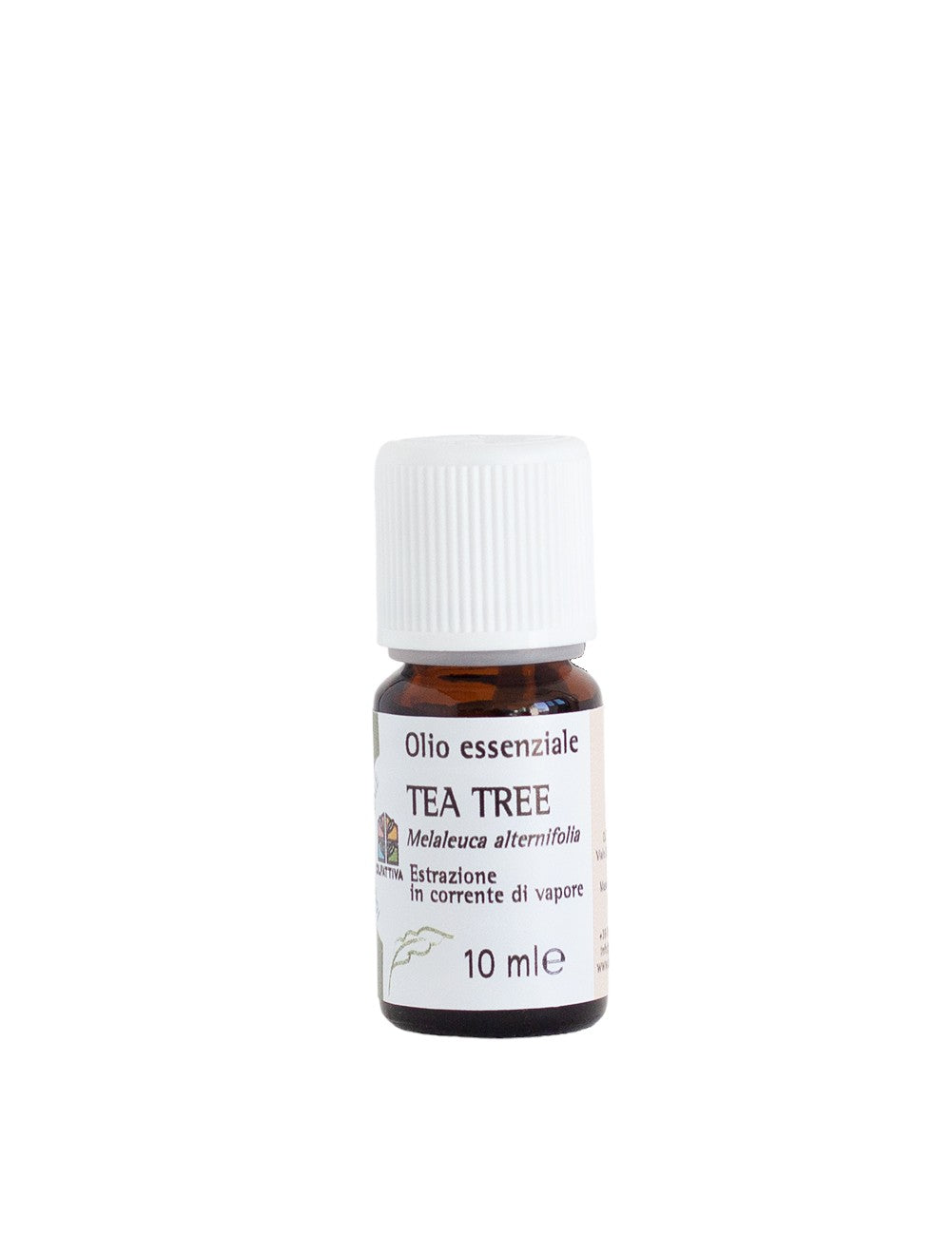 Olio Essenziale di Tea Tree - Olfattiva