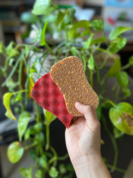 Spugne e spazzole naturali: perché scegliere alternative ecologiche alle versioni sintetiche