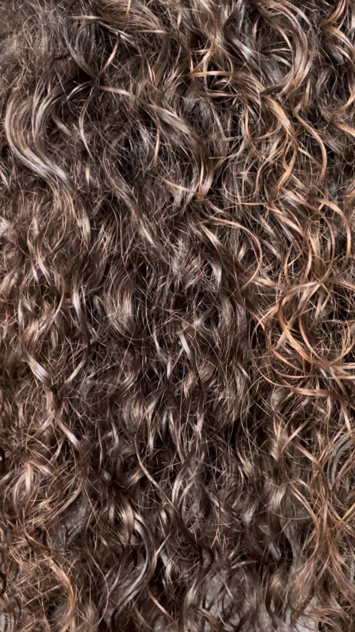 Capelli